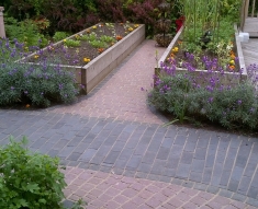 PINK SETTS FLOWER GARDENS