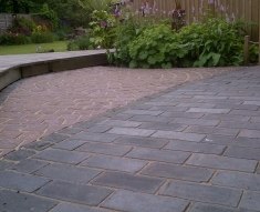 PINK SETTS FLOWER GARDENS
